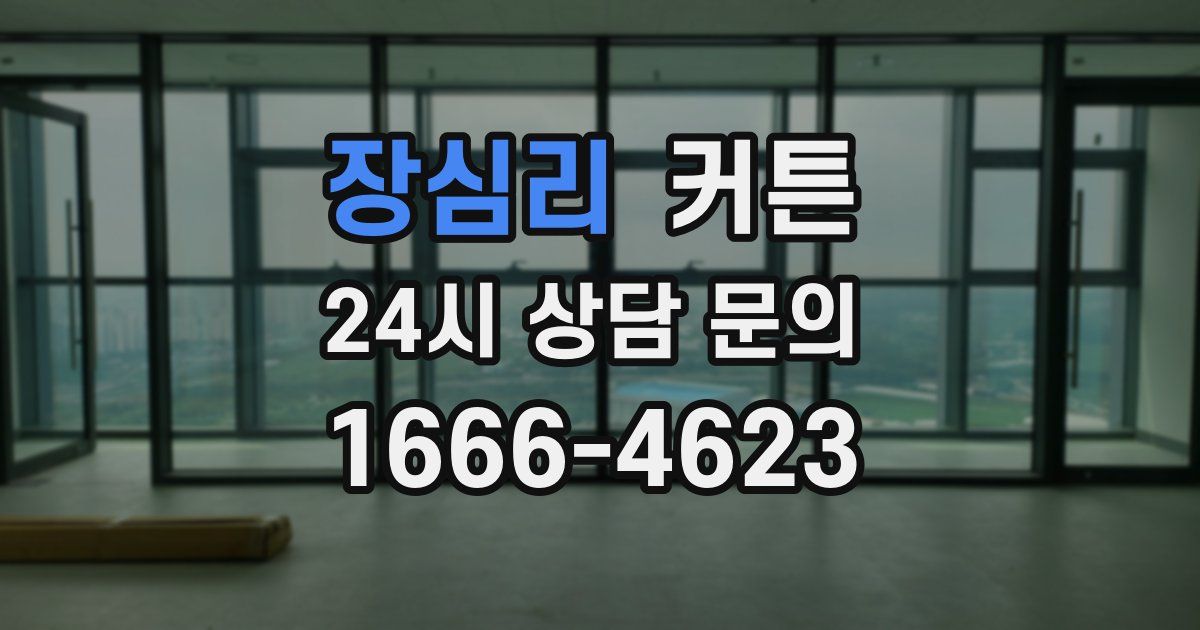 장심리 커튼