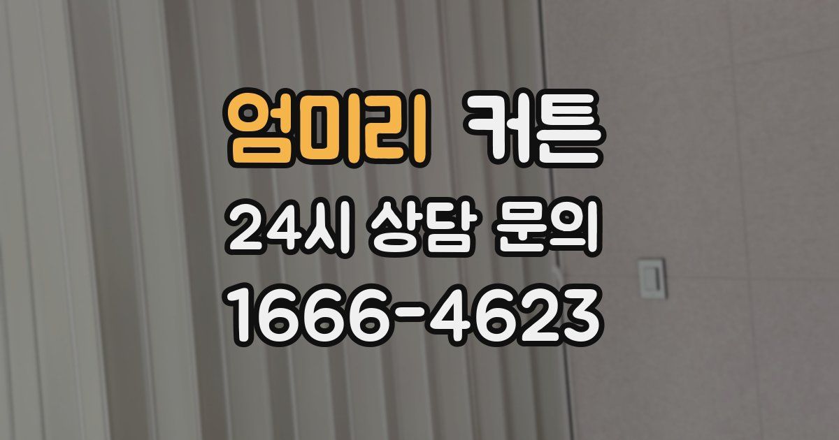 엄미리 커튼