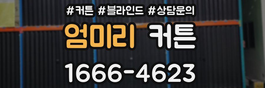 엄미리 커튼