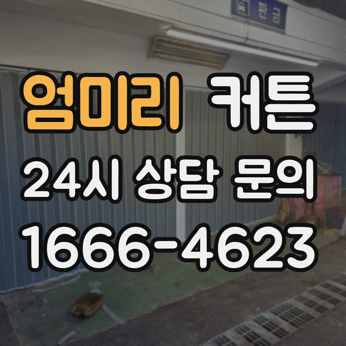 엄미리 커튼