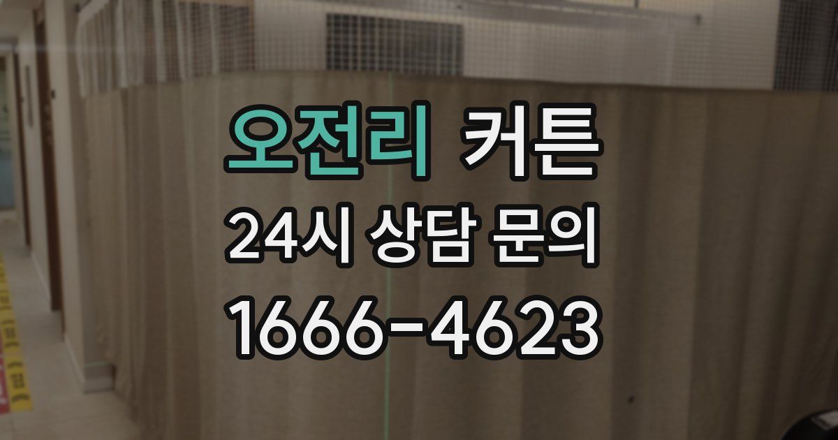 오전리 커튼