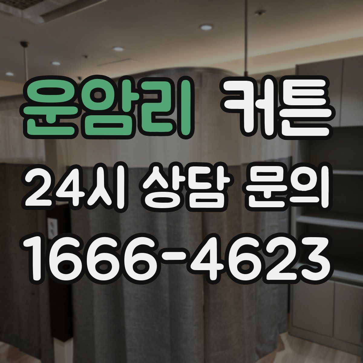 운암리 커튼