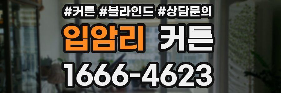 입암리 커튼