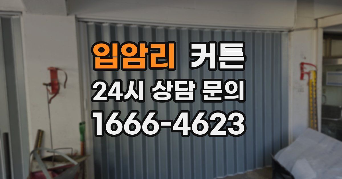 입암리 커튼