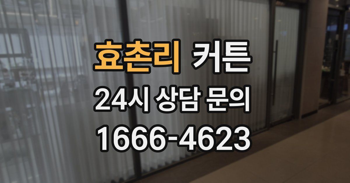 효촌리 커튼