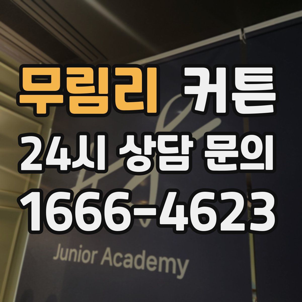 무림리 커튼