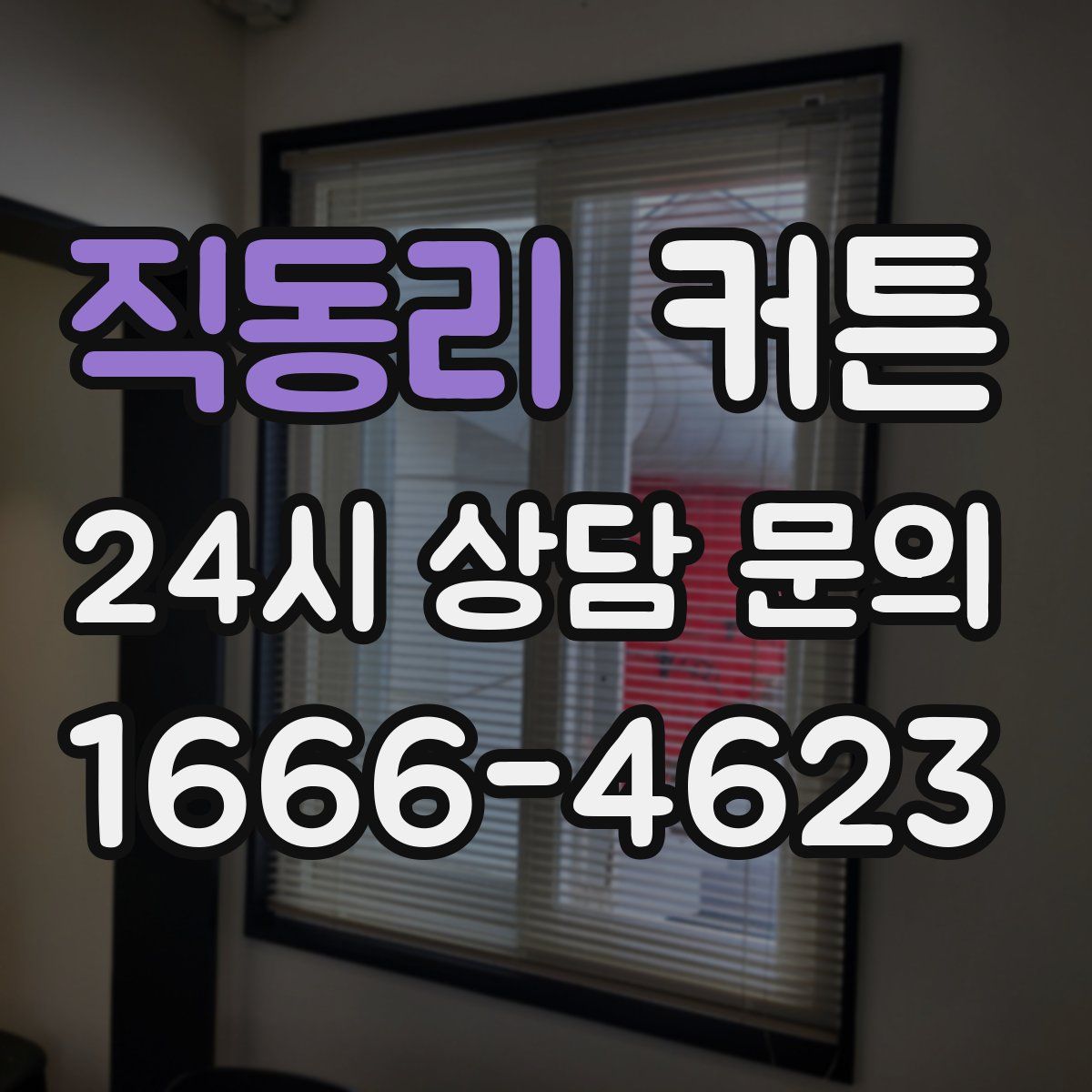 직동리 커튼