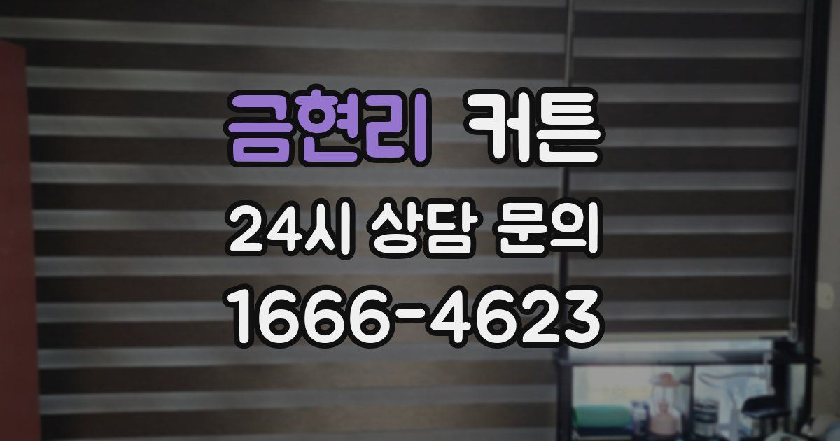 금현리 커튼
