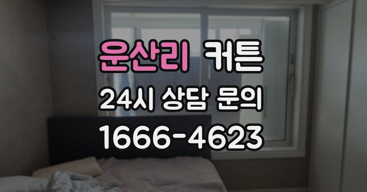 운산리 커튼