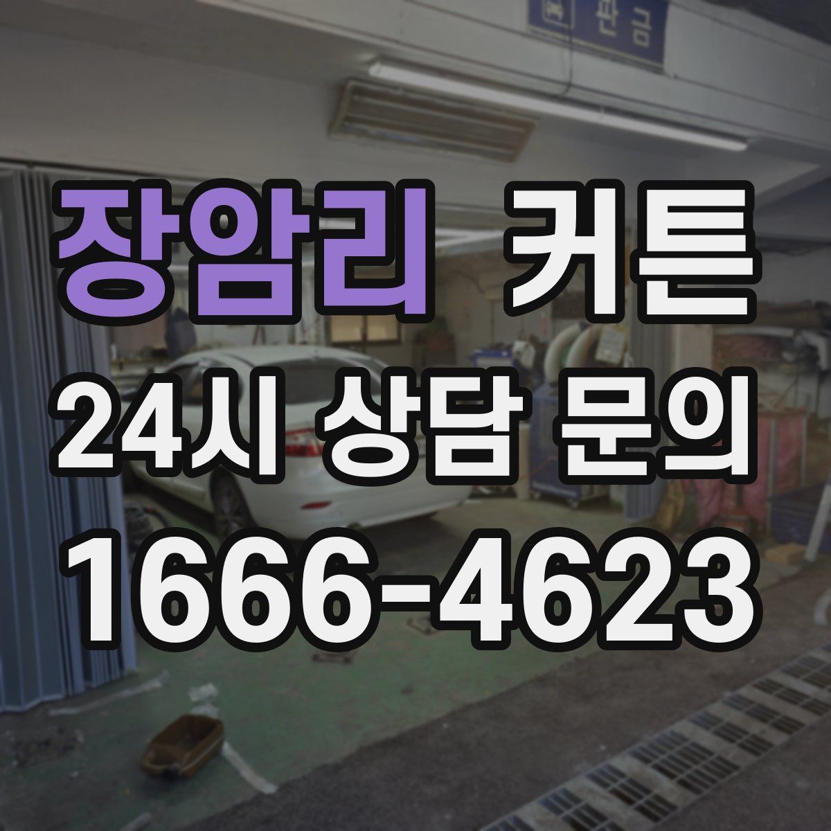 장암리 커튼