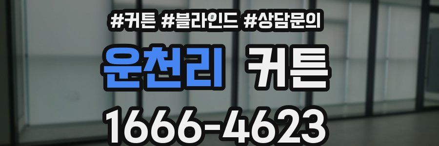 운천리 커튼