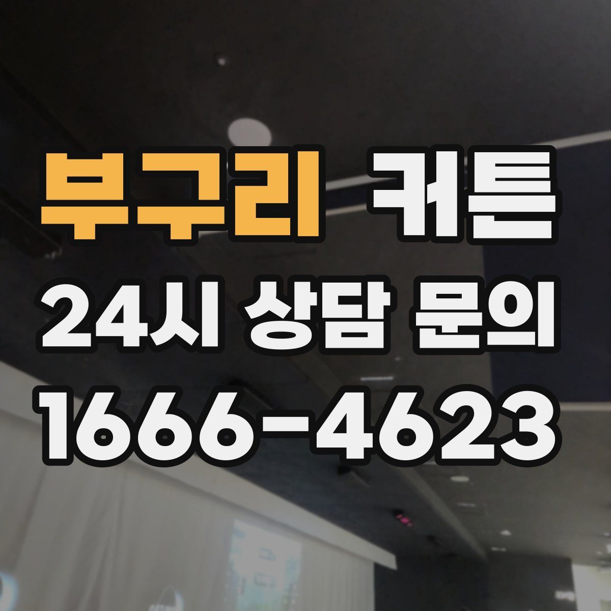 부구리 커튼