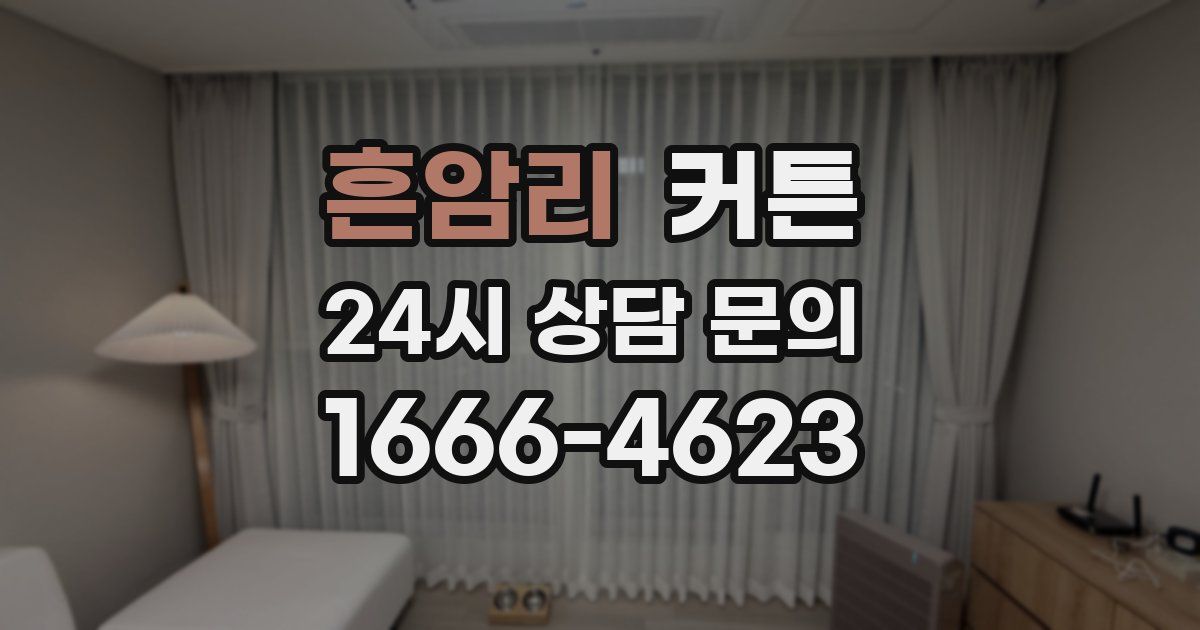 흔암리 커튼