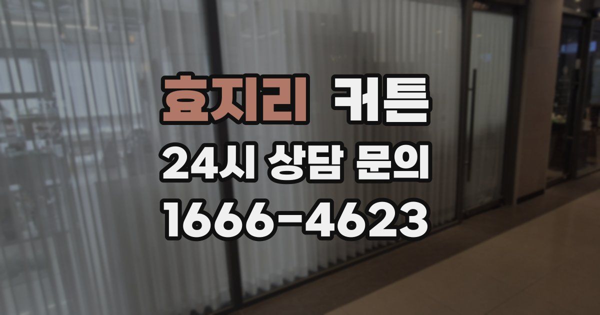 효지리 커튼