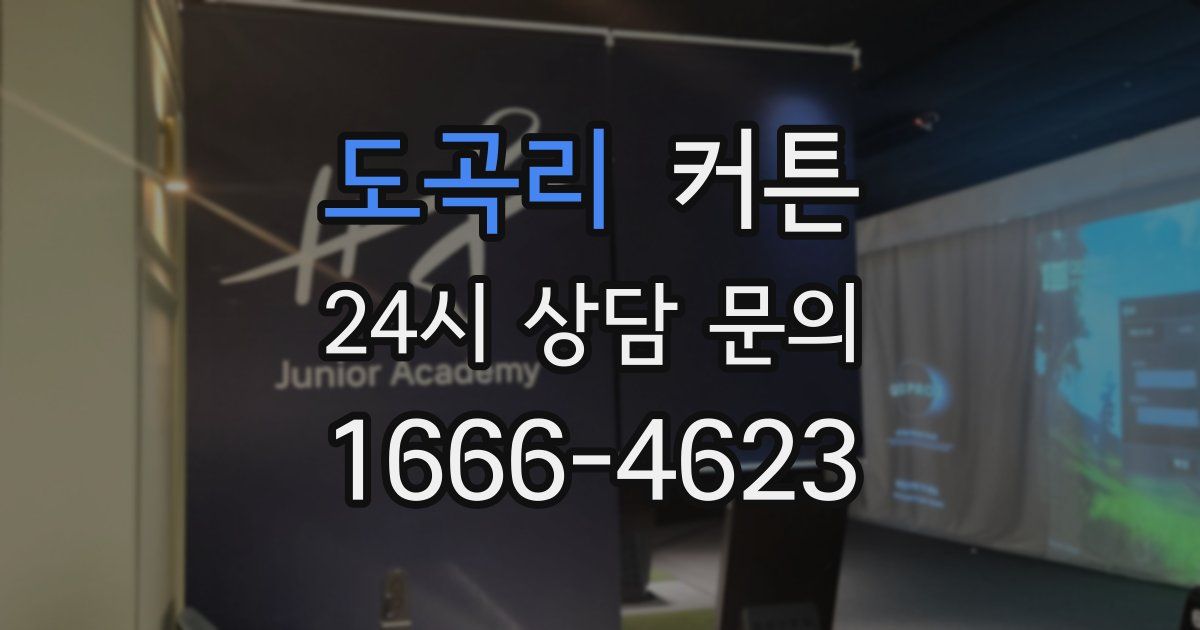 도곡리 커튼