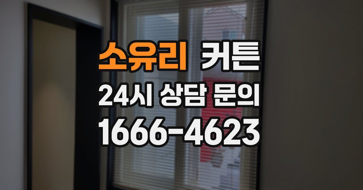 소유리 커튼