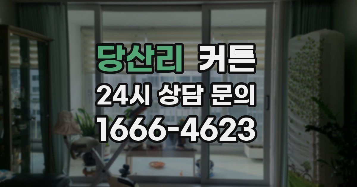 당산리 커튼