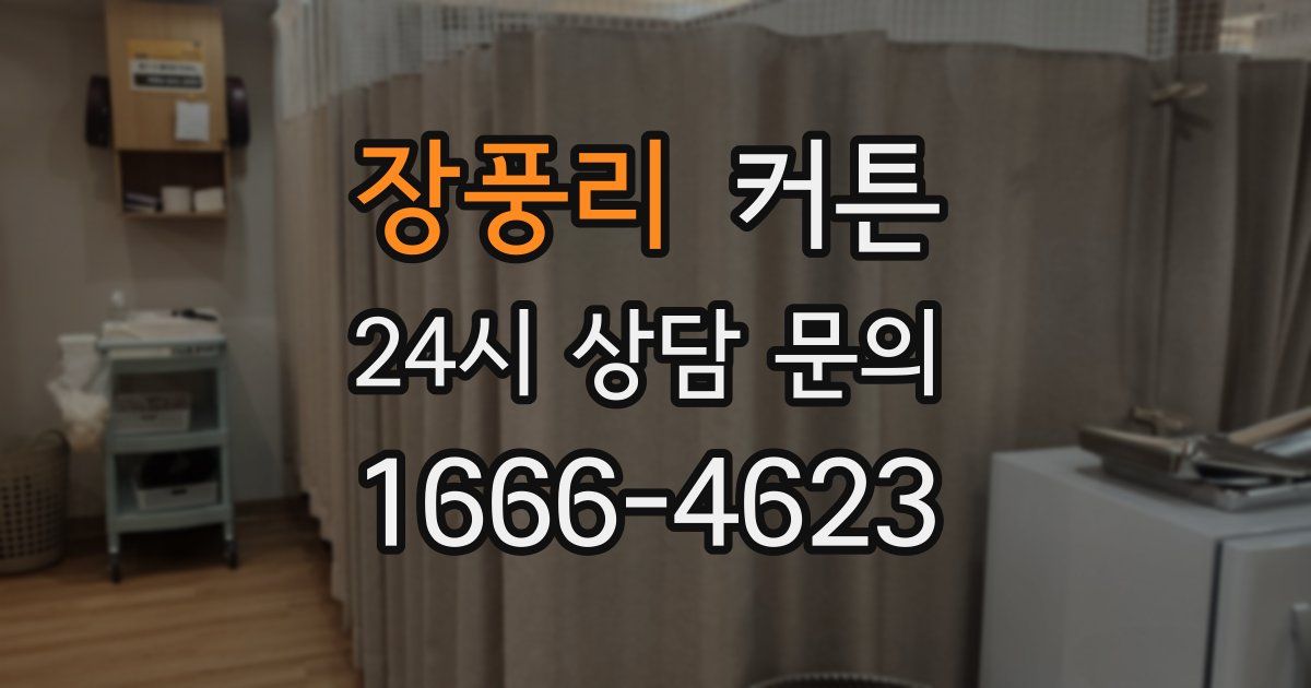장풍리 커튼