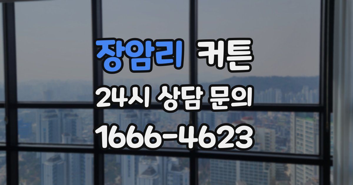 장암리 커튼
