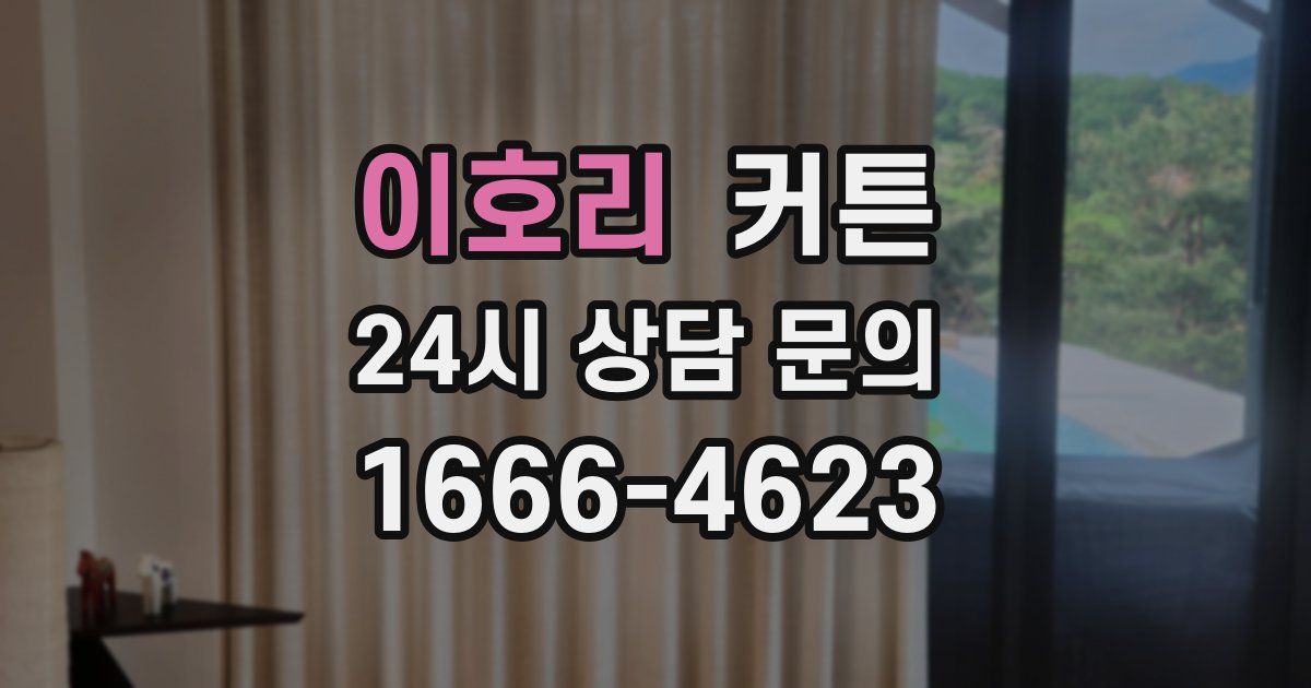 이호리 커튼