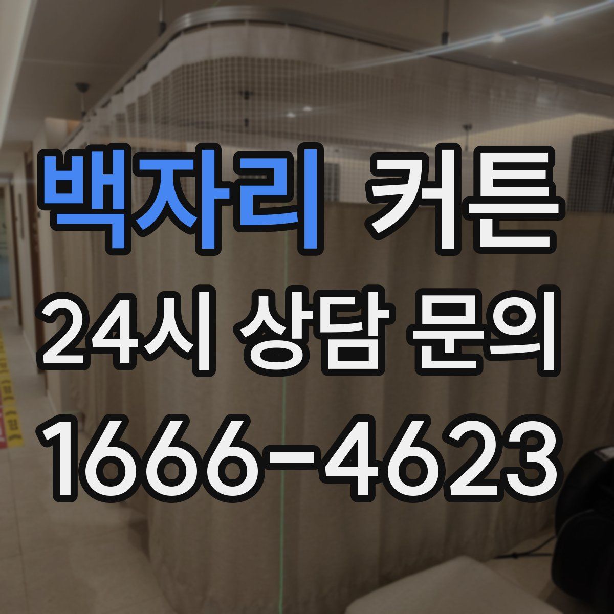 백자리 커튼