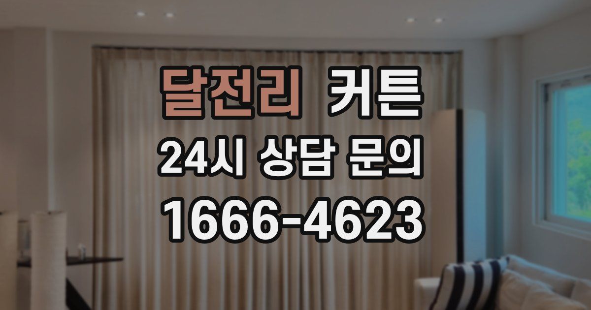달전리 커튼