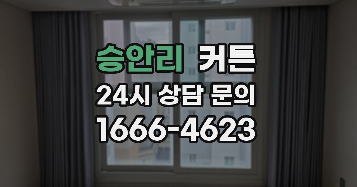 승안리 커튼