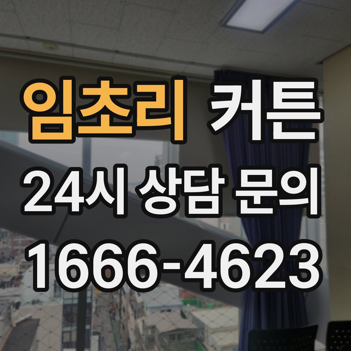 임초리 커튼