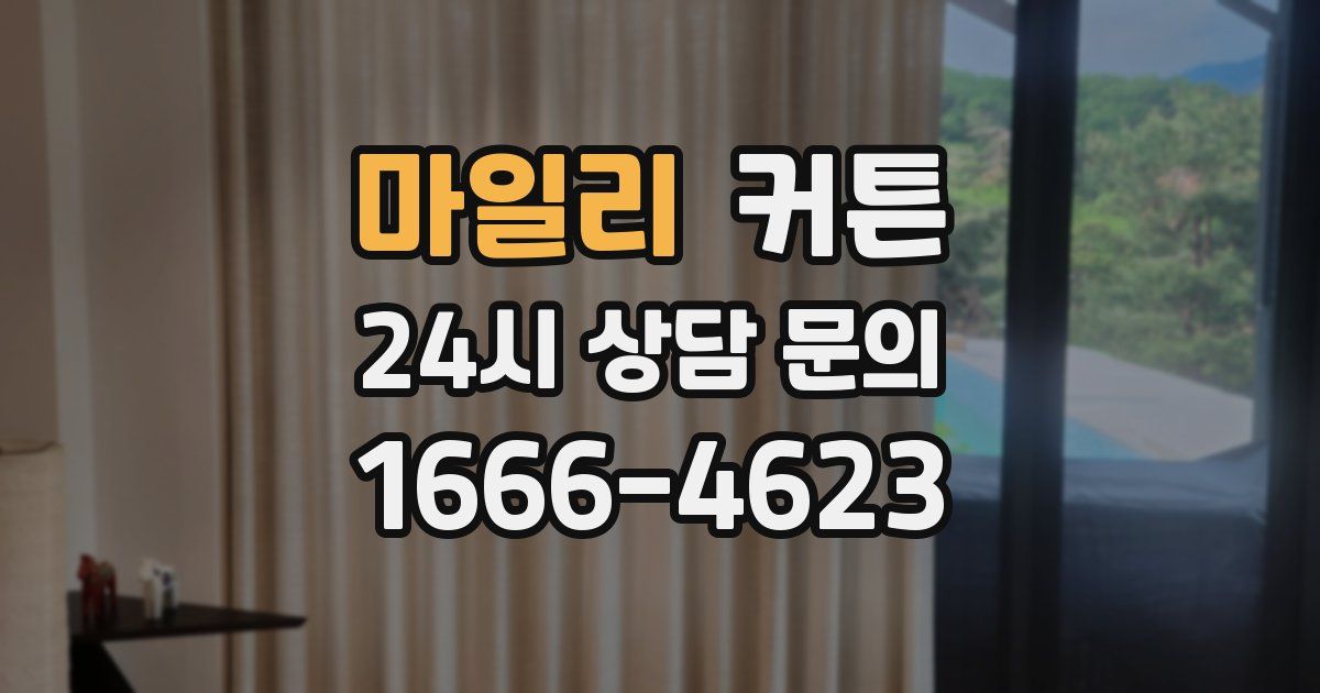 마일리 커튼