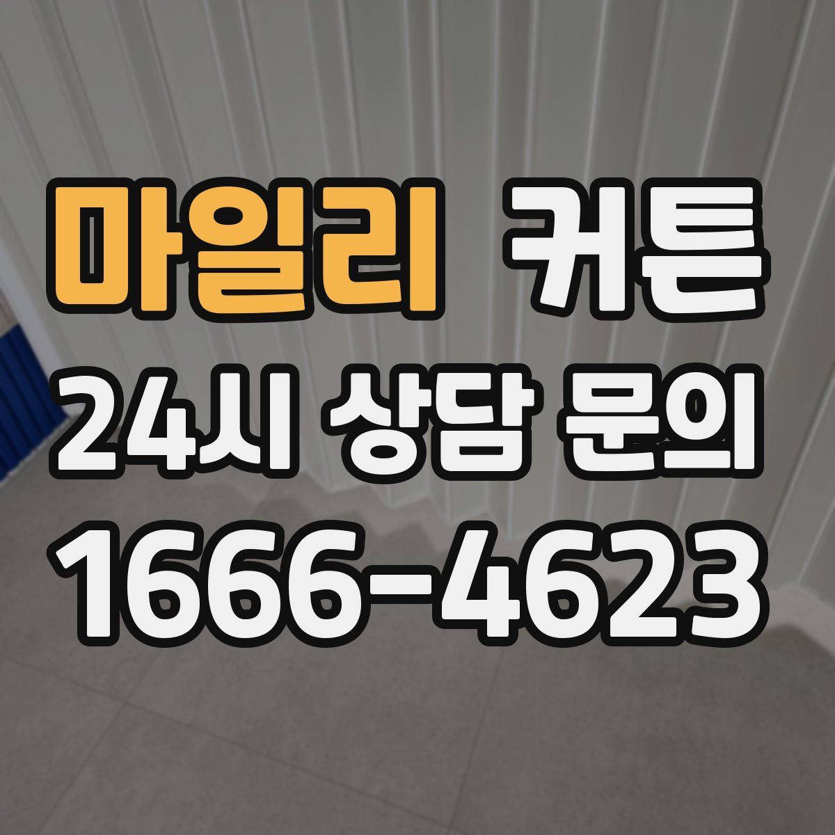 마일리 커튼