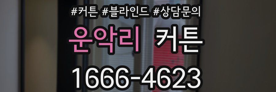 운악리 커튼