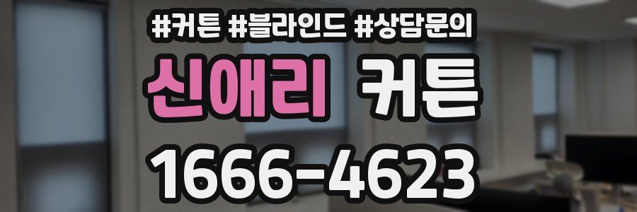 신애리 커튼