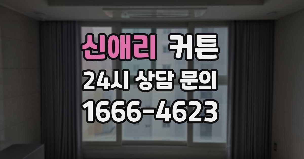 신애리 커튼