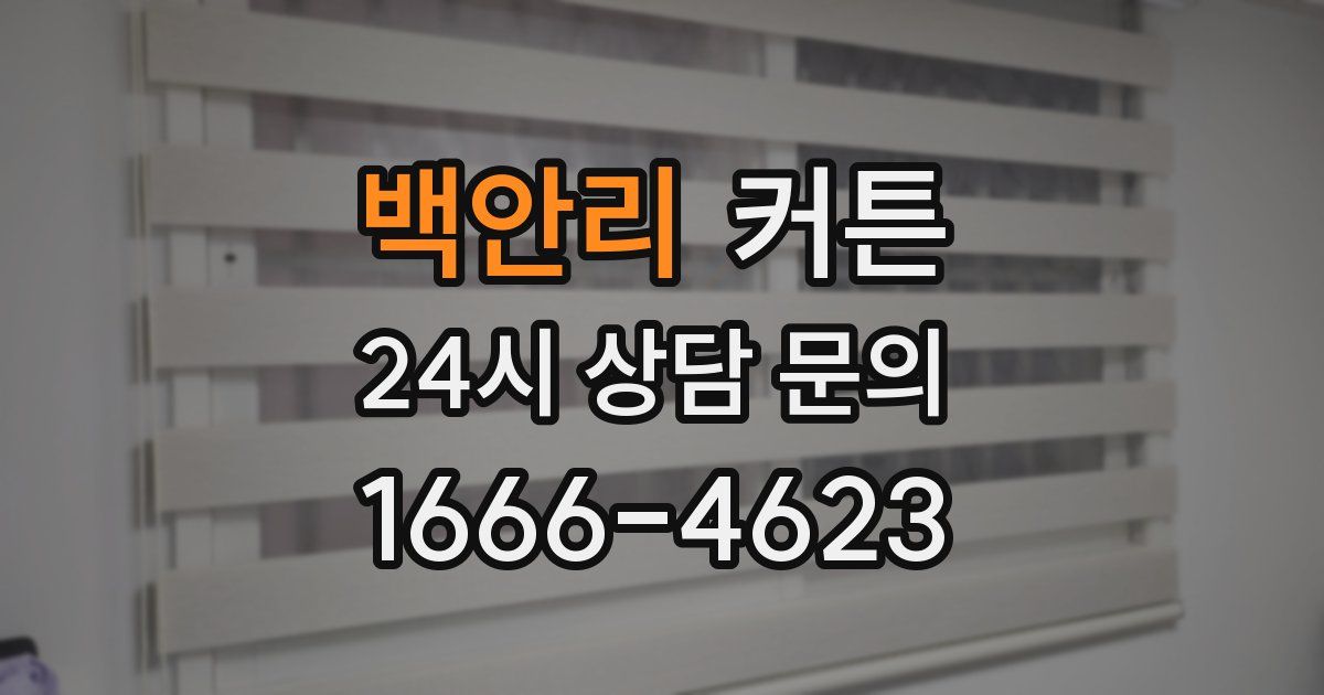 백안리 커튼