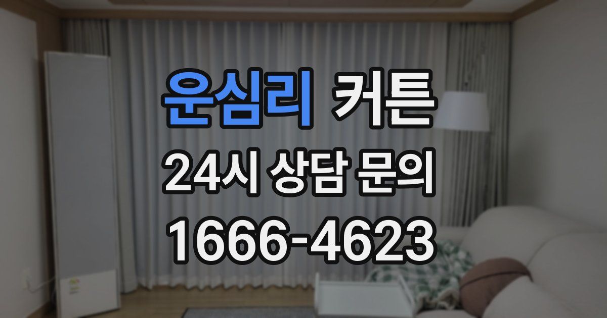 운심리 커튼