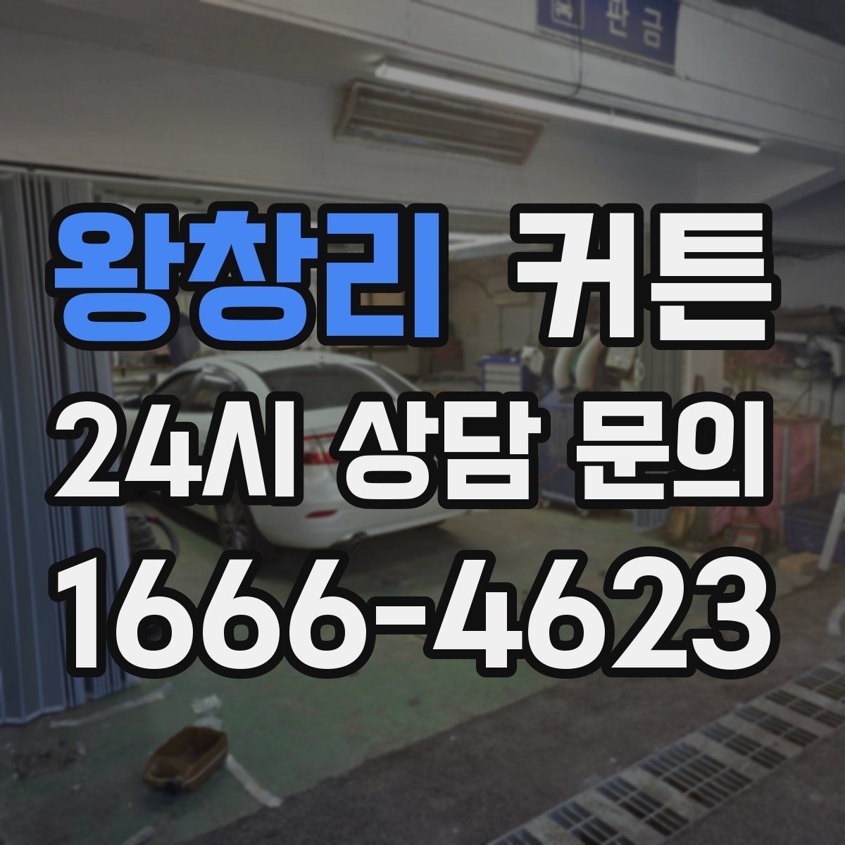 왕창리 커튼