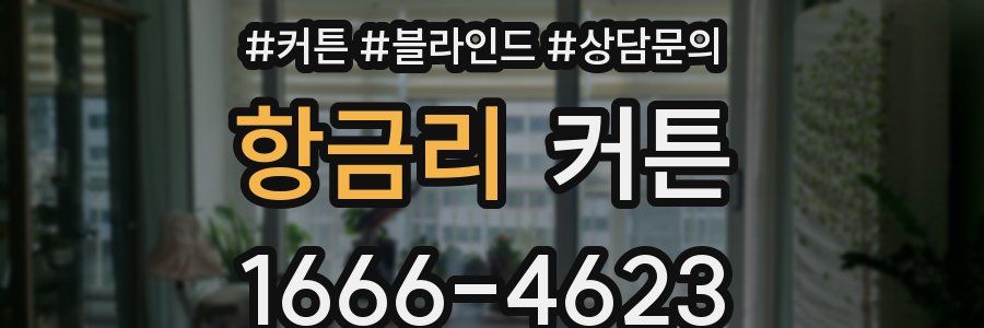 항금리 커튼