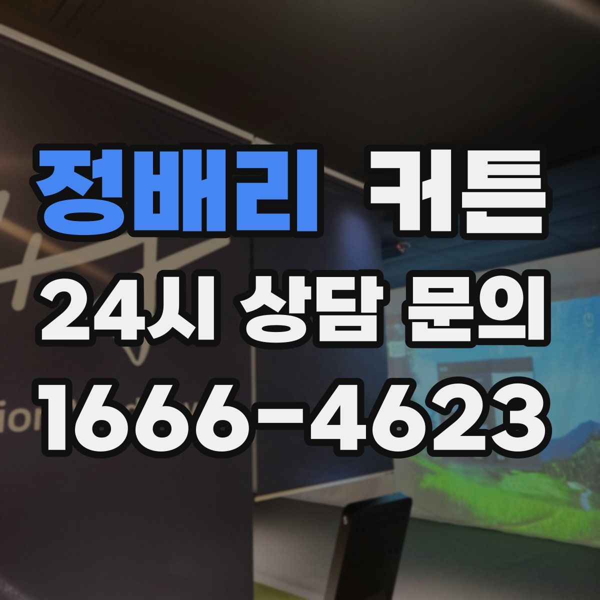 정배리 커튼