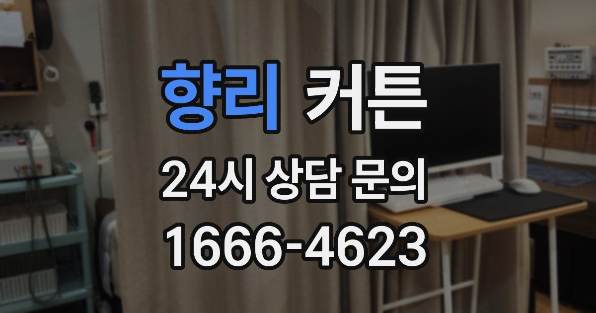 향리 커튼