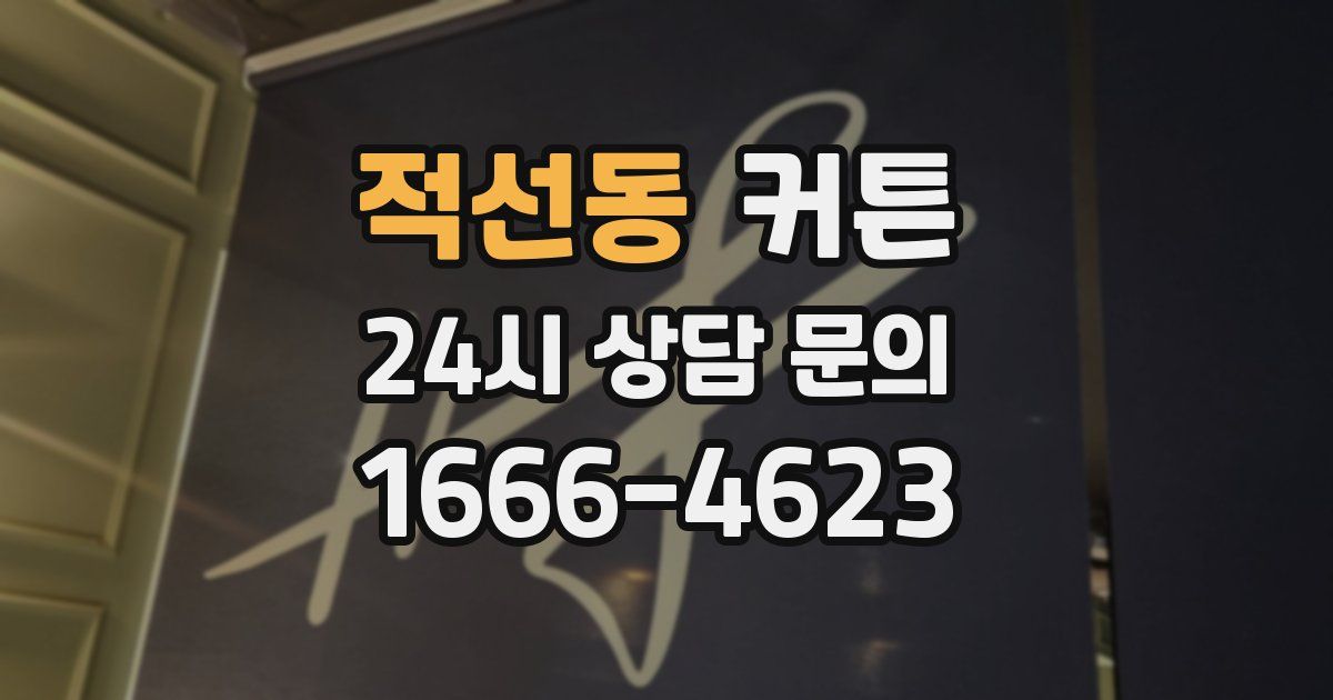 적선동 커튼