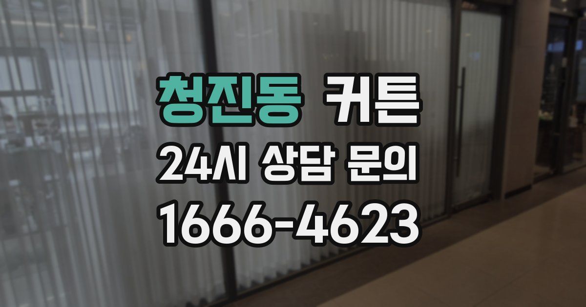 청진동 커튼