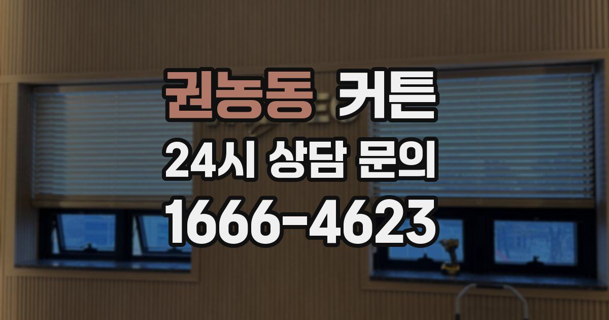 권농동 커튼