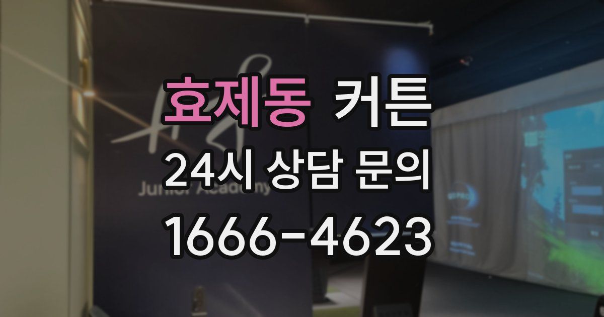 효제동 커튼