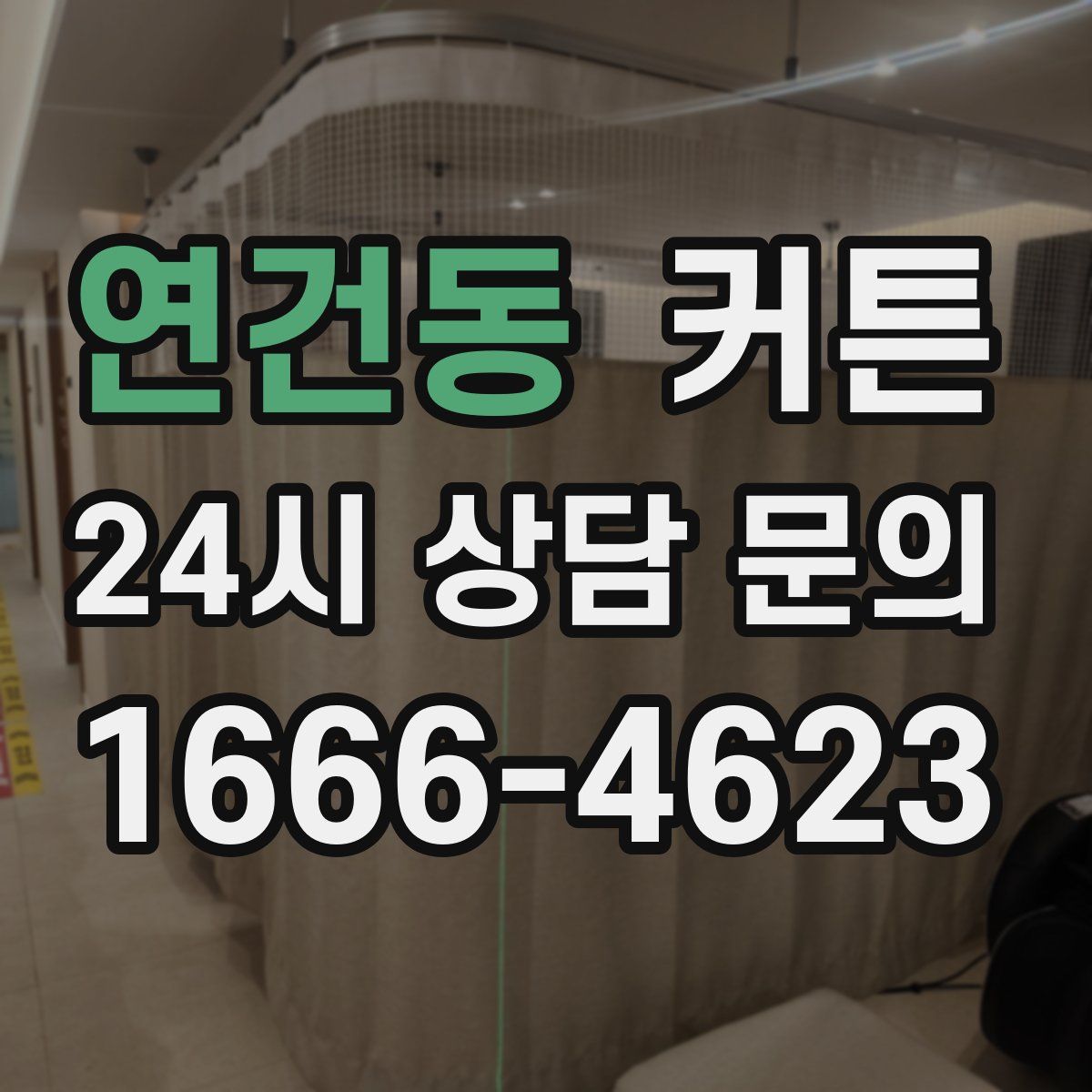 연건동 커튼