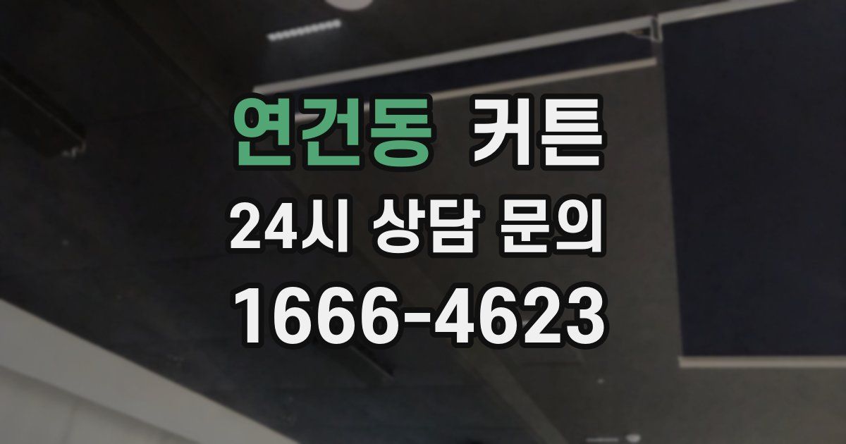 연건동 커튼