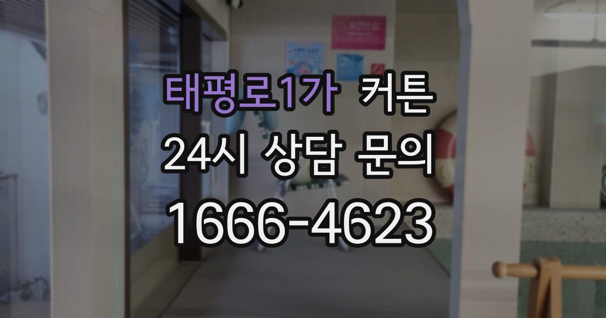 태평로1가 커튼