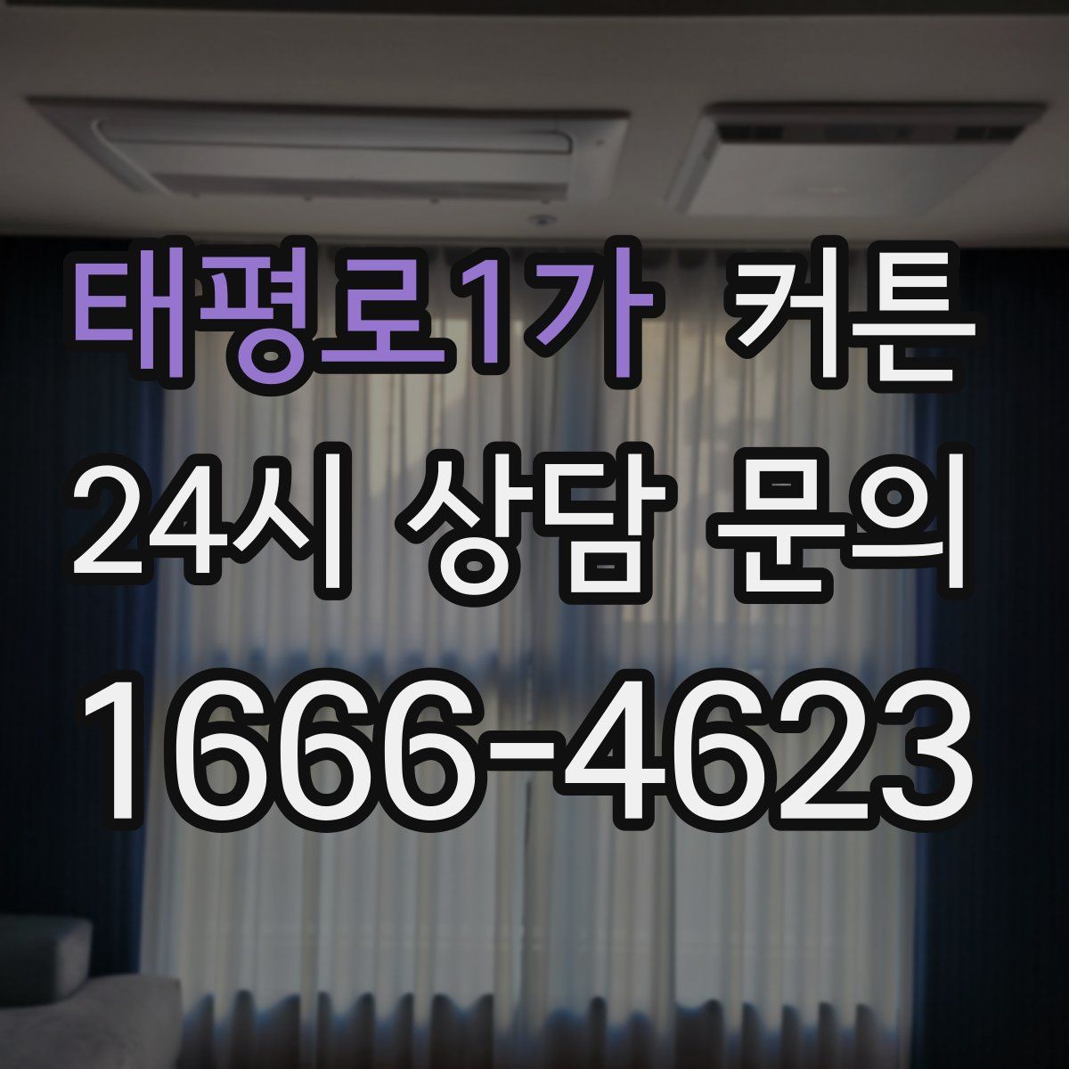 태평로1가 커튼