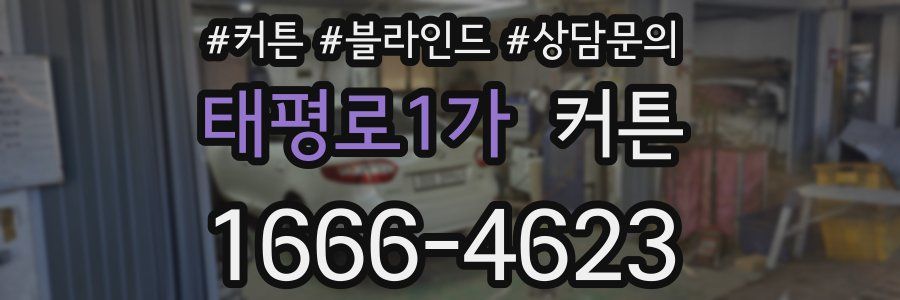 태평로1가 커튼