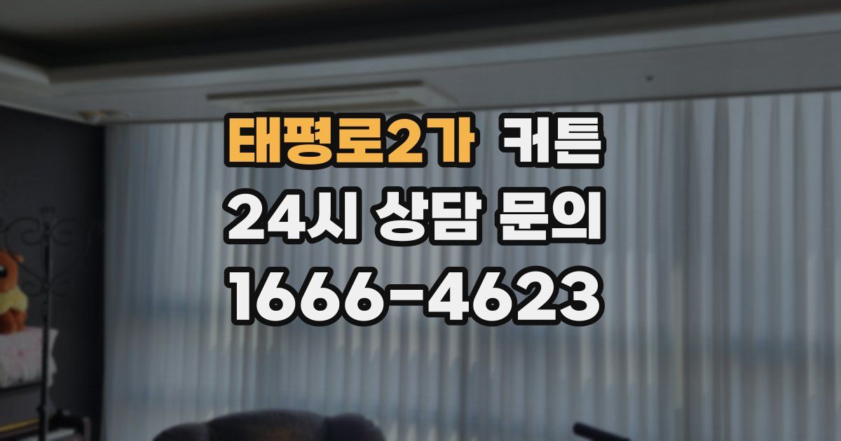 태평로2가 커튼