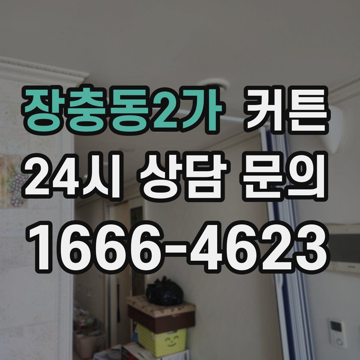 장충동2가 커튼